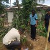 A tree planting program at 